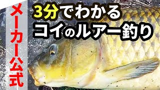 鯉をルアーで釣る方法【３分で分かる】  #鯉釣り #ルアー #ルアーカーピング