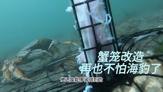 螃蟹笼简单改造 不怕海豹偷食  海底摄影  【生活窍门专栏】