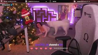 Alinity Dog Part 2