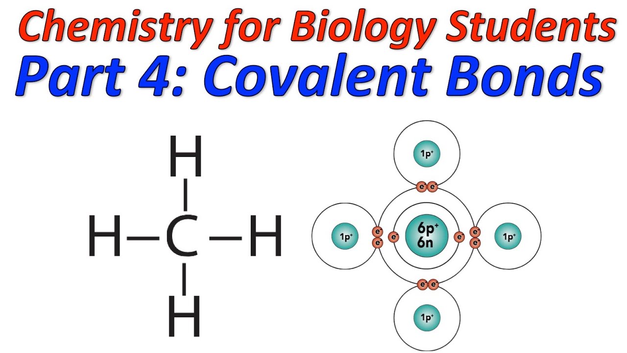 How To Draw Covalent Bonding