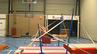 Milou - brug - trainen kip handstand.AVI