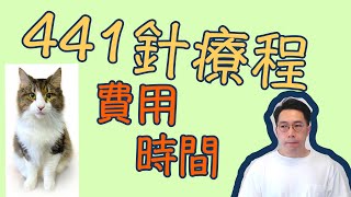 441針療程詳情｜整個FIP療程費用｜腹膜炎針藥外另外兩個很重要的事情