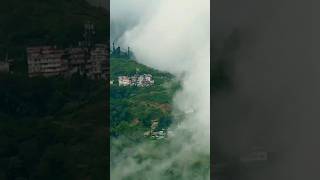 DARJEELING 🌲🏔️🌲// I LOVE MY INDIA ❤️ 🇮🇳🌍// #Darjeeling #I_Love_My_India #youtubeshorts #shortsvideo