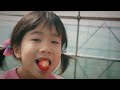 [Vlog] Strawberry-Picking with Family, 2022, spring, Japan.