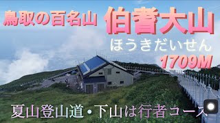 中国地方最高峰　鳥取の百名山『伯耆大山』ほうきだいせん1709M  （上り　夏山登山道•下り　途中行者コースから大神山神社経由）