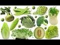 50 GREEN Fruits and Vegetables🥝🥦🍏 of the World in English and Chinese 绿色蔬菜水果大集合（中英文）