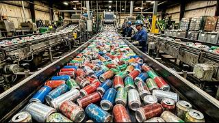 What Makes U.S. Paper Production So Efficient? | An Unbelievable Factory Process