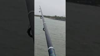 ചൂണ്ടയിൽ നെറ്റ് കെട്ടി ഞണ്ട് പിടുത്തം #fishing #shorts #seafishing