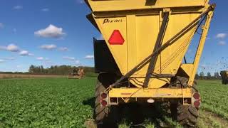 OXBO/ Pixall Super Jack Bean Harvester Pick up