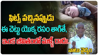 How To Control Fits | Fits Causes And Treatment In Telugu..|Fits in Children| Health Tree