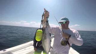 Fly Fish St Augustine Offshore Blue Runners Captain Troy