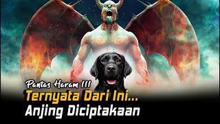 BANYAK YANG BELUM TAHU!! Kisah Asal-usul Keberadaan Anjing