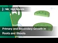 Primary and Secondary Growth in Roots and Shoots | Bio | Video Textbooks - Preview