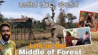 ಸಿದ್ದಾಪುರದ ಅವರೆಗುಂದ ಕಾಡಿನ ಮಧ್ಯ ಜೀವನ - Life of people in the middle of the Forest #vlog