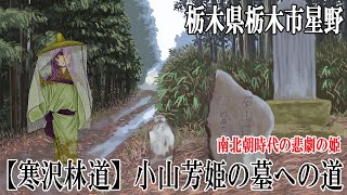 【寒沢林道】小山芳姫の墓への道