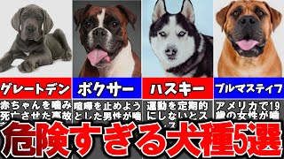 【ゆっくり解説】飼ったら後悔!?危険すぎる犬種5選…