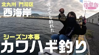 【関門でカワハギ釣り】波止からカワハギ狙ってみた