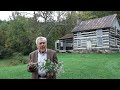 nature lesson the white heath aster