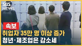 [속보] 취업자 35만 명 이상 증가했지만…청년 · 제조업은 감소세 / SBS