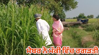 ਮੈਬਰ ਨੇ ਮੱਕੀ ਵਿੱਚ ਠੋ*ਕ ਤੀ Punjabi short movie 2024 #viralvideo #trading