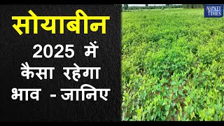 2025  में कैसा रहेगा सोयाबीन का भाव -जानिए #soyabean #mandi #soya #kissan #edibleoil #palmoil