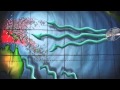 Cloud Nasara - An Animation Resource on El Niño & La Niña