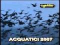 ACQUATICI 2007 - Caccia a OCHE e ANATRE (Lugari Video)