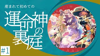 風来のシレン５＋ / 運命神の裏庭を駆け抜ける 初回 1F～50F