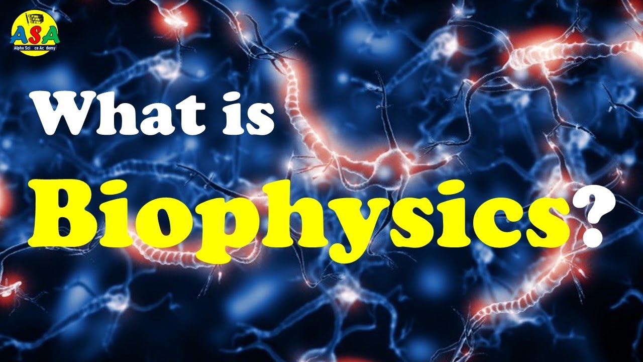 What Is Biophysics? - YouTube