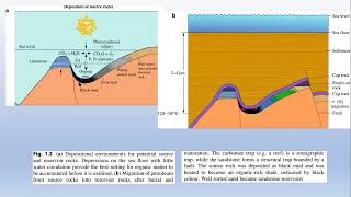 7- Formation of Petroleum | Conversion of organic matter and conversion into oil and natural gas