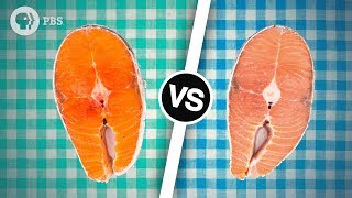 Wild Salmon or Farmed Salmon? Which is Better? | Serving Up Science