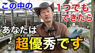 【頑張りたい方限定】今やって絶対に後悔させない園芸準備10選　　　　　　【カーメン君】【園芸】【ガーデニング】【初心者】