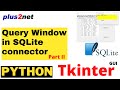 Tkinter child window using Toplevel to execute user entered SQL query on SQLite and display result
