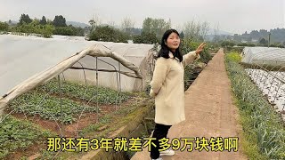 张老板转让大棚蔬菜基地，16亩地30万，还有三年租地合同有利润吗