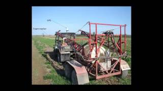 Cover Crop Management and Termination