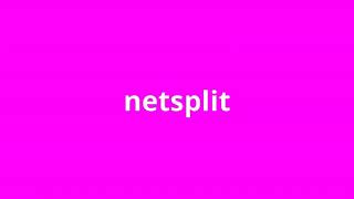 what is the meaning of netsplit