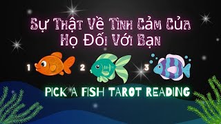 Sự Thật Về Tình Cảm Của Họ Đối Với Bạn ❤️😅#xemtarot