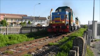 Tradotte su Verzuolo a Savigliano (D146.2008 + D445.1017)