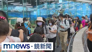 一路好走！貓熊「團團」病逝　動物園湧人潮悼念｜#鏡新聞