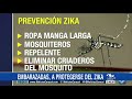 ¿Está embarazada y vive o piensa ir a zonas del zika? Siga estas recomendaciones