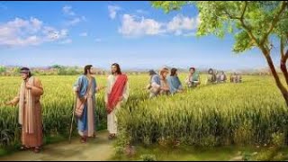 12)Film.  Matheus 12 :1- 50 Kynrad ka Sabath ter2. Subt.\u0026 Khasi narration