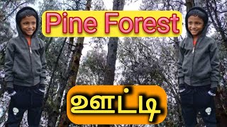 Pine forest Ooty | Must Visit Places in Ooty | ஓர் அழகான காடு ஊட்டியில் | Travel Vlog |