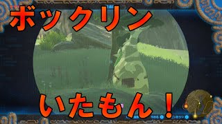 ゼルダの伝説～ブレス オブ ザ ワイルド～【SWITCH】＃20　ボックリン～カカリコ村～タロ・ニヒの祠