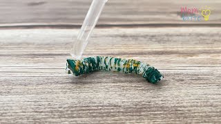 Straw Wrapper Worm Experiment