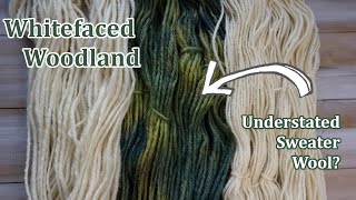 Fiber Talk: Whitefaced Woodland - Ep 21 - Purr-fect cat blanket?