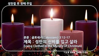 [주일예배] 골로새서(Colossians) 3:12-17 성탄의 신비를 입고 살라 (2024년 12월 29일)