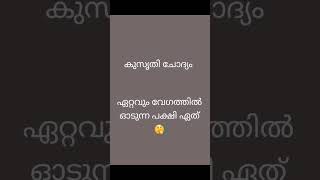 രസകരമായ കുസൃതി ചോദ്യം #shortsfeed #youtubeshorts #shortsvideo