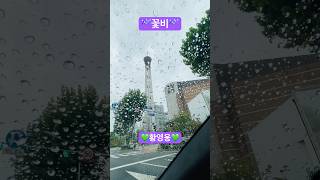 🍀☔️꽃비#우리어메 고운눈가에… #황영웅 #구독과좋아요는사랑이고기쁨입니다 🙇‍♀️🙏🍀💖