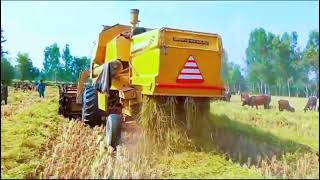 Efficient Harvesting: Maximizing Productivity with Modern Machinery