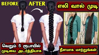 வெறும் 5 ரூபாயில் முடியை அடர்த்தியாக நீளமாக மாற்றுங்கள் Grow Hair | Fast Hair Growth|Grow Long Hair